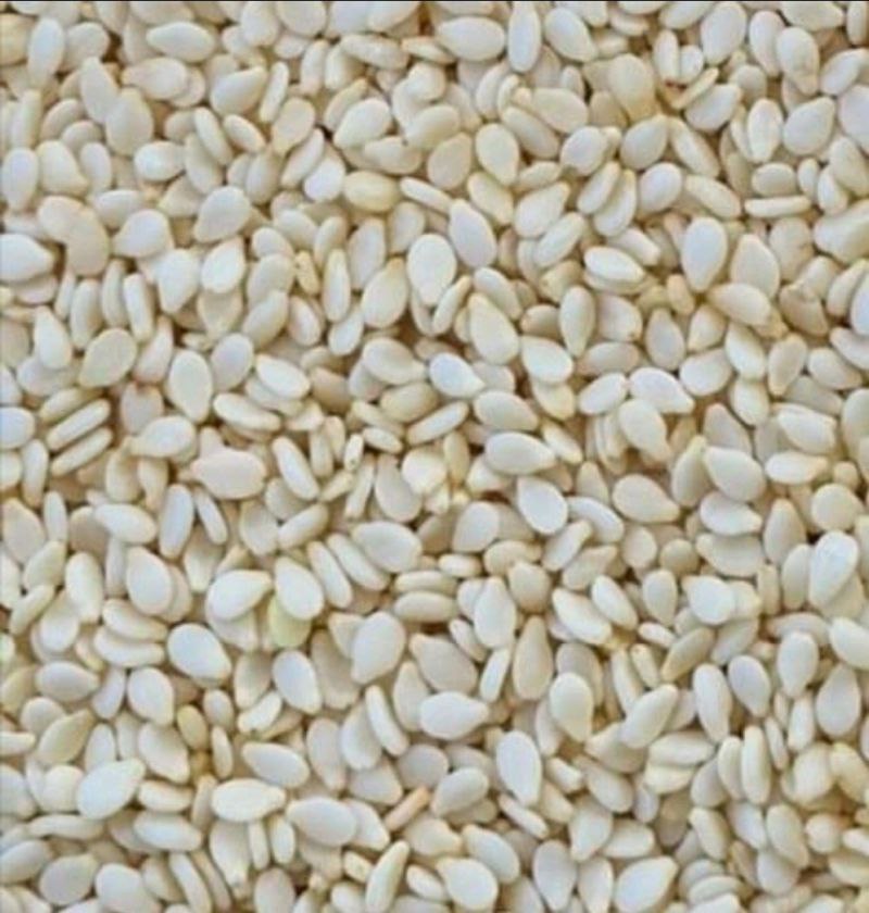 Whitish Humera Sesame Seed